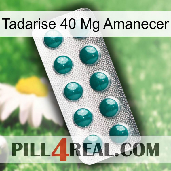 Tadarise 40 Mg Sunrise dapoxetine1.jpg